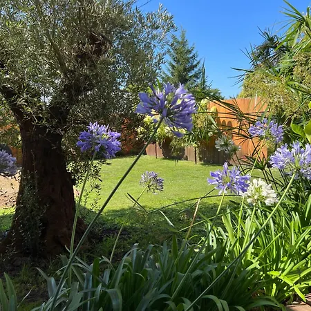 La 62 La Teste-de-Buch