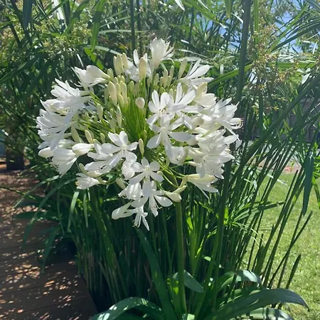 Vakantiehuis La 62 *