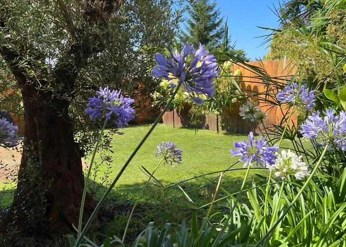 La 62 La Teste-de-Buch